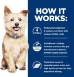 Hill's Prescription Diet k/d Canine Renal Health - Chicken & Vegetable Stew - 12x12.5oz - Image 11