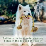 Dog Ropes Toy for Large Dog,Dog Tug Toy for Large Aggressive Chewers Dogs Rope Toys,Thick Indestructible Chew Toys Rope for Large/Medium Dog Breed Dog,Heavy Tug of War Dog Pull Rope - Image 6