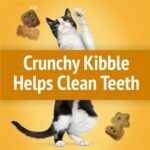 Friskies Party Mix Cat Treats, Cheezy Craze Crunch with Real Cheese - 454 g Cannister (1 Pack) - Image 6