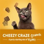 Friskies Party Mix Cat Treats, Cheezy Craze Crunch with Real Cheese - 454 g Cannister (1 Pack) - Image 9