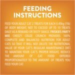 Friskies Party Mix Cat Treats, Cheezy Craze Crunch with Real Cheese - 454 g Cannister (1 Pack) - Image 12