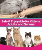 RYERCAT Silvervine Sticks for Cats - All-Natural Cat Chew Toy for Aggressive Chewers, Kitten Teething, and Dental Health - Silvervine Cat Toy for Hours of Fun and Relaxation (5 Pack) - Image 7