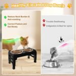 COMESOON Elevated Dog Bowls for Small Medium Dogs 3 Height Adjustable Raised Dog Bowl Stand with 2 Thick 6" Stainless Steel Dog Food Bowls Non-Slip Dog Feeder Adjusts to 2.75", 6", 7.5", Black - Image 5
