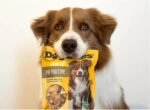 Pup Poutine Dog Treats – Crunchy Canadian-Made Snacks with Freeze-Dried Cheese, Sweet Potato & Beef Liver – Healthy Dog Delights - 600 Grams - Image 6