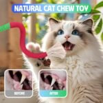 4 Pcs Cat & Kitten Chew Toy, Cat Toys Ropes and Silvervine Chew Sticks with Refillable Natural Catnip Bag for Teeth Cleaning, Safe Interactive Toys for Indoor Cats - Image 4