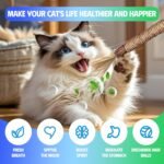 4 Pcs Cat & Kitten Chew Toy, Cat Toys Ropes and Silvervine Chew Sticks with Refillable Natural Catnip Bag for Teeth Cleaning, Safe Interactive Toys for Indoor Cats - Image 6