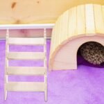Beavorty Wooden Hamster Climbing Ladder with Hideout Small Animal Platform for Pet Exploration and Cage Decor - Image 5