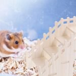 Beavorty Wooden Hamster Climbing Ladder with Hideout Small Animal Platform for Pet Exploration and Cage Decor - Image 6