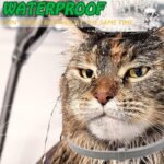 Cats Collars- 4PcsAdjustable Collars for Cats - Waterproof Cats Collar 38CM Suitable for Small, Medium and Large Cats - Image 3