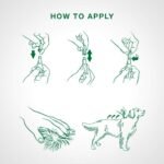 Advantage II Flea Treatment for Medium Dogs weighing 4.6 kg to 11 kg (10 lbs. to 24 lbs.)-2 doses - Image 5