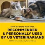 Tidy Cats Free & Clean Cat Litter, LightWeight Unscented Multi-Cat - 2.72 kg Jug - Image 7