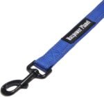 Maxpower Planet 6 Feet Dog Leash with Double Padded Handle, Heavy Duty, Reflective - Leashes for Medium and Large Dogs,Blue - Image 4