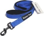 Maxpower Planet 6 Feet Dog Leash with Double Padded Handle, Heavy Duty, Reflective - Leashes for Medium and Large Dogs,Blue - Image 6