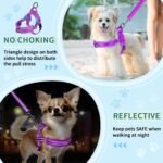 Lukovee Dog Leashes for Small Dogs, Lightweight Soft Small Dog Harness Neck & Chest Adjustable, Reflective Harness Anti-Twis Puppy Harness Vest Harness (XXS, Purple) - Image 7