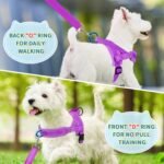 Lukovee Dog Leashes for Small Dogs, Lightweight Soft Small Dog Harness Neck & Chest Adjustable, Reflective Harness Anti-Twis Puppy Harness Vest Harness (XXS, Purple) - Image 8