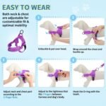 Lukovee Dog Leashes for Small Dogs, Lightweight Soft Small Dog Harness Neck & Chest Adjustable, Reflective Harness Anti-Twis Puppy Harness Vest Harness (XXS, Purple) - Image 10