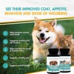 AminAvast Kidney Support Supplement for Cats and Dogs, 300mg - Promotes and Supports Natural Kidney Function - Supports Health and Vitality - Easily Administered - 60 Sprinkle Capsules - Image 4