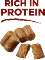 Purina ONE Dog Treats, True Instinct Bites Salmon - 566 g Pouch (1 Pack) - Image 5