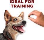 Purina ONE Dog Treats, True Instinct Bites Salmon - 566 g Pouch (1 Pack) - Image 7