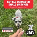 Jay's Soft & Chewy My Mighty Wolf Pork Dog Treats 454g Made in Canada - Image 6