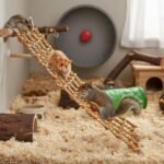 Small Pet Climbing Rope Net, with 4 Silver Hooks - Versatile Ferret Toys & Rat Cage Accessories That Doubles as a Toy Hammock and Ladder for Birds, Rats, and Rodent Habitats - Image 4