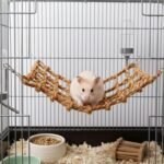 Small Pet Climbing Rope Net, with 4 Silver Hooks - Versatile Ferret Toys & Rat Cage Accessories That Doubles as a Toy Hammock and Ladder for Birds, Rats, and Rodent Habitats - Image 5