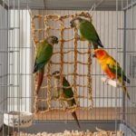 Small Pet Climbing Rope Net, with 4 Silver Hooks - Versatile Ferret Toys & Rat Cage Accessories That Doubles as a Toy Hammock and Ladder for Birds, Rats, and Rodent Habitats - Image 6