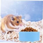 INOOMP 4pcs Small Hamster Food Bowls and Water Bowls Set Blue and Pink for Guinea Pig Chinchilla and Small Rodent Feeding - Image 6