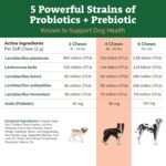 Doggie Dailies Probiotics for Dogs, 225 Soft Chews, Advanced Dog Probiotics with Prebiotics, Promotes Gut Health, Supports Immune System and Overall Wellness (Pumpkin) - Image 4