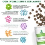 Doggie Dailies Probiotics for Dogs, 225 Soft Chews, Advanced Dog Probiotics with Prebiotics, Promotes Gut Health, Supports Immune System and Overall Wellness (Pumpkin) - Image 5