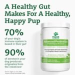 Doggie Dailies Probiotics for Dogs, 225 Soft Chews, Advanced Dog Probiotics with Prebiotics, Promotes Gut Health, Supports Immune System and Overall Wellness (Pumpkin) - Image 7