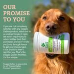 Doggie Dailies Probiotics for Dogs, 225 Soft Chews, Advanced Dog Probiotics with Prebiotics, Promotes Gut Health, Supports Immune System and Overall Wellness (Pumpkin) - Image 9