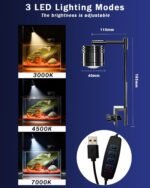 Fish Tank, 3 Gallon Ultra-Clear Glass Fish Aquarium, with Separator Plate for Betta, Fish Tank Starter kit with Filter and Led Light, Black - Image 6