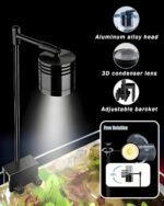 Fish Tank, 3 Gallon Ultra-Clear Glass Fish Aquarium, with Separator Plate for Betta, Fish Tank Starter kit with Filter and Led Light, Black - Image 7