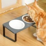 Sunhoo Cat Bowl Elevated Cat Food Water Bowls Raised Kitty Dish Set of 2 Ceramic 15° Tilted Puppy Dishes Pet Bowl with Bamboo Stand Indoor Anti Vomiting (Grey) - Image 8