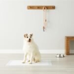 Amazon Basics Dog and Puppy Pee Pads with 5-Layer Leak-Proof Design and Quick-Dry Surface for Potty Training, Heavy Duty Absorbency, X-Large, 28 x 34 Inch - Pack of 25, Blue & White - Image 7