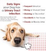 Cranberry D-Mannose Urinary Tract Support - Bladder Health Supplement for Dogs and Cats - 60 Tablets - Image 7