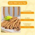 KATUMO 2LB/910g Spray Millet Treats, Natural Sun-Dried Bird Treats for Parakeet Conure Cockatiel Finch Pigeon Hamster Canary (910g) - Image 4
