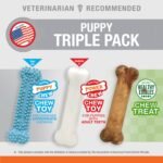 Nylabone Puppy Chew Toy & Treat Puppy Starter Set, Blue Puppy Chew Toys for Boys - Image 4