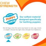 Nylabone Puppy Chew Toy & Treat Puppy Starter Set, Blue Puppy Chew Toys for Boys - Image 5