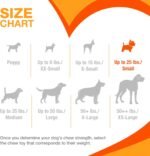 Nylabone Puppy Chew Toy & Treat Puppy Starter Set, Blue Puppy Chew Toys for Boys - Image 7