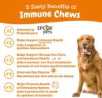 Dog Immune Chews - Dog Supplements for Immune Support & Gut Health Formulated with Salmon Oil and Omega 3 for Itchy Skin Relief, Peanut Butter Flavor 60 Count Zesty Paws - Image 3