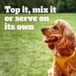 PEDIGREE CHOICE CUTS IN SAUCE Adult Soft Wet Dog Food - With Real Beef - 12x 630g (22 oz) Cans - Image 10