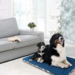 KROSER Dog Bed Reversible (Warm&Cooling), Machine Washable Crate Pad, Pet Mat for Small to Large Dog from 25lbs to110lbs, for Small to XXX-Large Dogs - Image 7