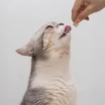 Open Farm, Kitty Cubes, Freeze Dried Raw Cat Treats, Grain-Free, High-Protein Cat Treat with Probiotics, Omega Fatty Acids & Superfoods, Chicken & Turkey Recipe, 1.5oz Bag - Image 3