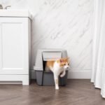 IRIS USA Cat Litter Box, Large Litter Box Enclosure with Front Door Flap and Scoop, Covered Kitty Litter Box with Handle and Buckles for Portability and Privacy, Gray - Image 9