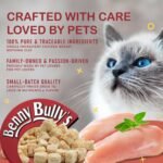 Benny Bully's Chicken Breast Chops Freeze Dried - Cat Treats - 20g - Image 4