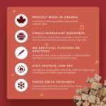 Benny Bully's Chicken Breast Chops Freeze Dried - Cat Treats - 20g - Image 5