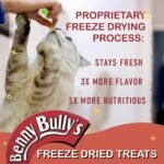 Benny Bully's Chicken Breast Chops Freeze Dried - Cat Treats - 20g - Image 6