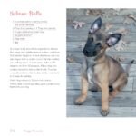 Doggy Desserts: 125 Homemade Treats for Happy, Healthy Dogs - Image 6